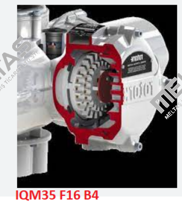 IQM35 F16 B4  Rotork