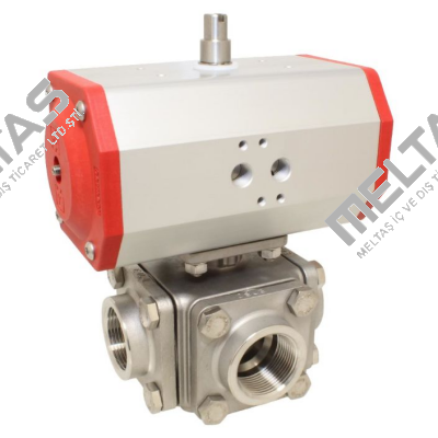 ZD311423-EE620632/AX End Armaturen