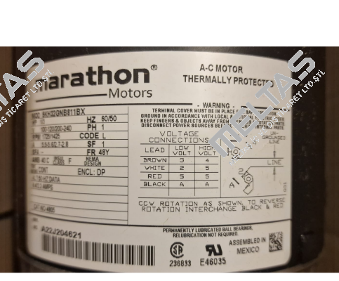 A00049126 Marathon (Regal)