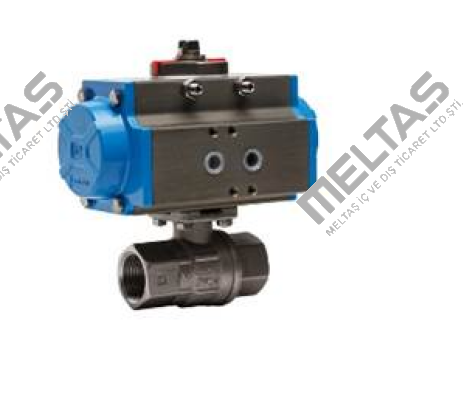 82SR0010  Valbia
