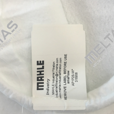 PPSG-001-WS-SS2 (0001) MAHLE