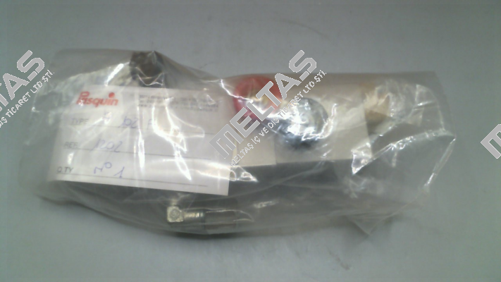P1202 Pasquin