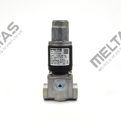 13922051 EG12*L *GMO Brahma