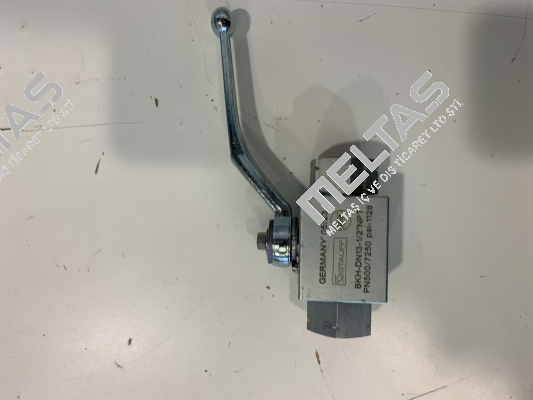 BKH-DN 13-1/2” NPT- PN 500 Mha Zentgraf
