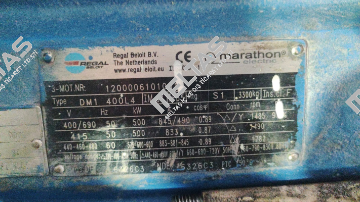 DM1 400L4 Marathon (Regal)