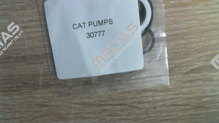 30777 Cat Pumps