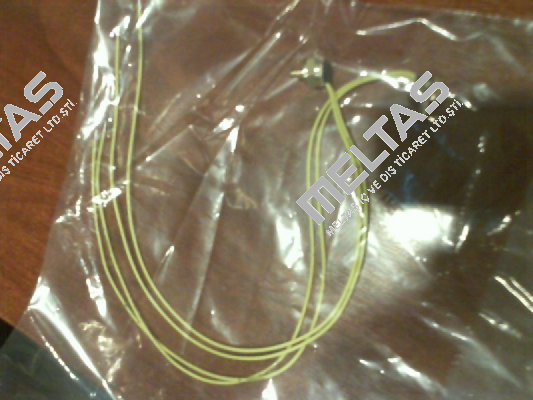 L01.100.05 Thermik