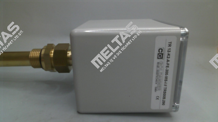 TR 12-K2-A-FE-300-MS-I Goldammer