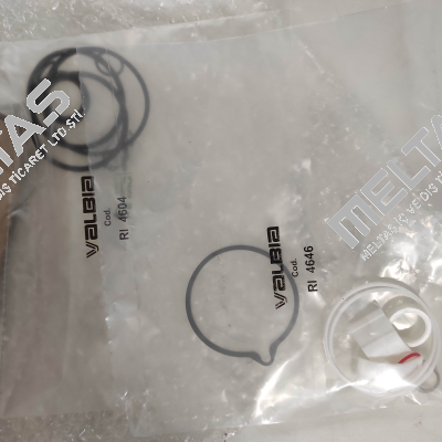 seal and wear part set for Model 63 Valbia