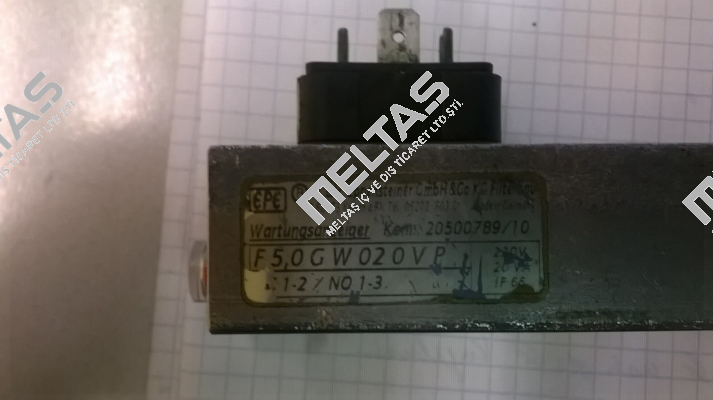 F5.0-GW-02-0V-P  Eppensteiner