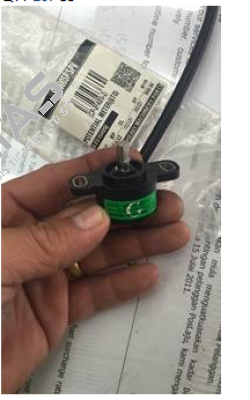 CP-2FABS-2  Midori