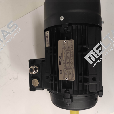 HMA2 90 L-4 IE2 Hoyer Motors