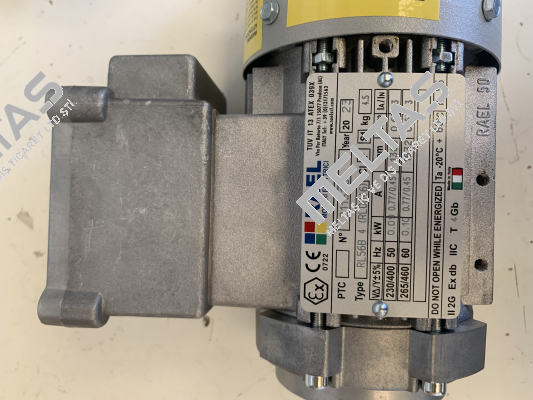 RL56B 4 (RL0046) RAEL MOTORI ELETTRICI