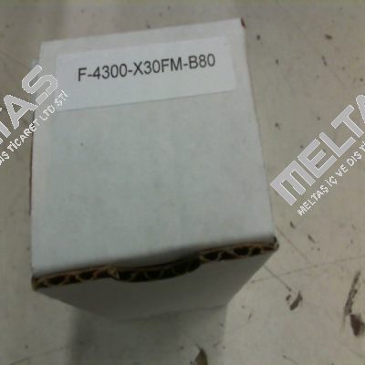 F-4300-X30-FM-B80 Airtrol
