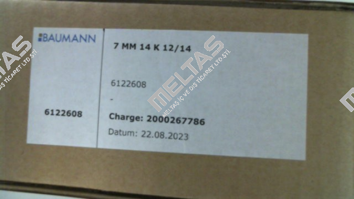 6110630 Baumann
