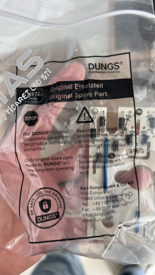 238806 Dungs