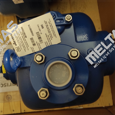 STR2S F10 E Varisco pumps