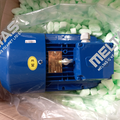 3SIE 100 L-4A Cantoni