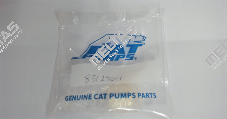 831290 - PLUNGER, CERAMIC (M20x18) Cat Pumps
